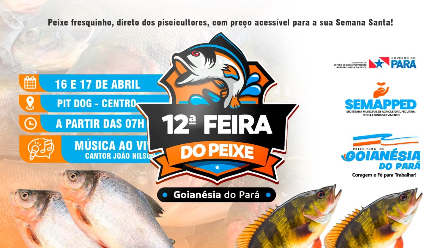 Vem aí a 12ª Feira do Peixe de Goianésia do Pará!